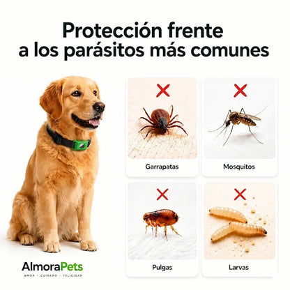 Protector Natural Contra Pulgas y Garrapatas